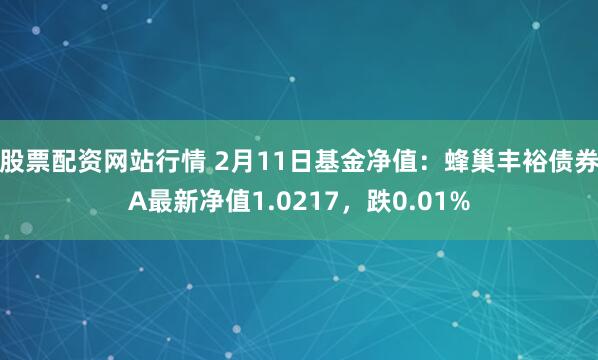 股票配资网站行情 2月11日基金净值：蜂巢丰裕债券A最新净值1.0217，跌0.01%