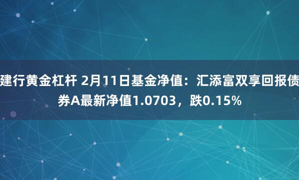 建行黄金杠杆 2月11日基金净值：汇添富双享回报债券A最新净值1.0703，跌0.15%