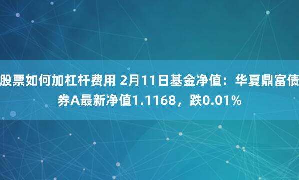 股票如何加杠杆费用 2月11日基金净值：华夏鼎富债券A最新净值1.1168，跌0.01%