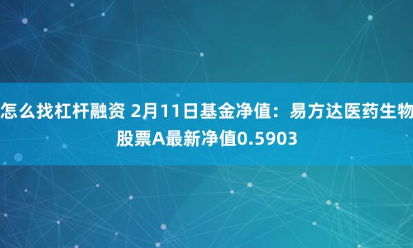 怎么找杠杆融资 2月11日基金净值：易方达医药生物股票A最新净值0.5903