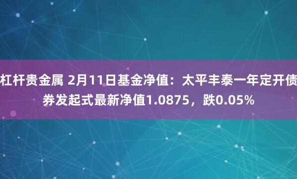 杠杆贵金属 2月11日基金净值：太平丰泰一年定开债券发起式最新净值1.0875，跌0.05%