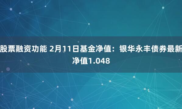股票融资功能 2月11日基金净值：银华永丰债券最新净值1.048