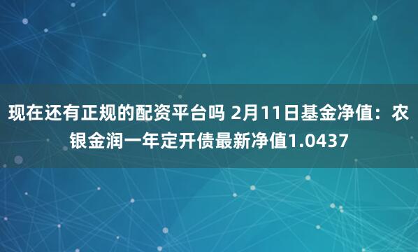现在还有正规的配资平台吗 2月11日基金净值：农银金润一年定开债最新净值1.0437