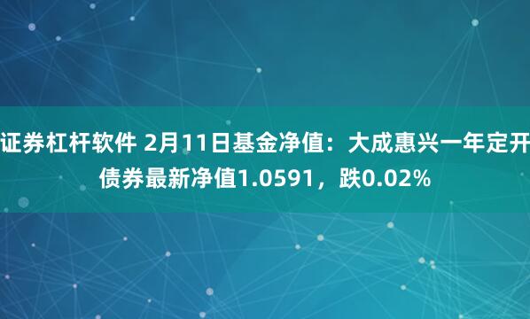 证券杠杆软件 2月11日基金净值：大成惠兴一年定开债券最新净值1.0591，跌0.02%