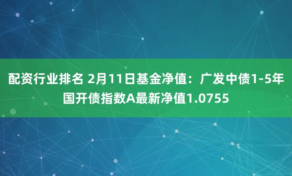 配资行业排名 2月11日基金净值：广发中债1-5年国开债指数A最新净值1.0755