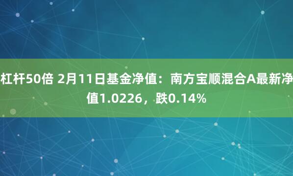 杠杆50倍 2月11日基金净值：南方宝顺混合A最新净值1.0226，跌0.14%