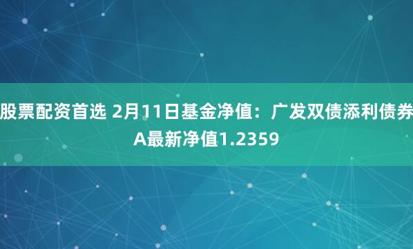 股票配资首选 2月11日基金净值：广发双债添利债券A最新净值1.2359