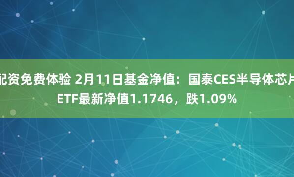 配资免费体验 2月11日基金净值：国泰CES半导体芯片ETF最新净值1.1746，跌1.09%