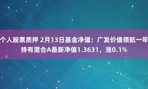 个人股票质押 2月13日基金净值：广发价值领航一年持有混合A最新净值1.3631，涨0.1%