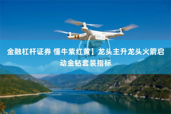金融杠杆证券 懂牛紫红黄】龙头主升龙头火箭启动金钻套装指标
