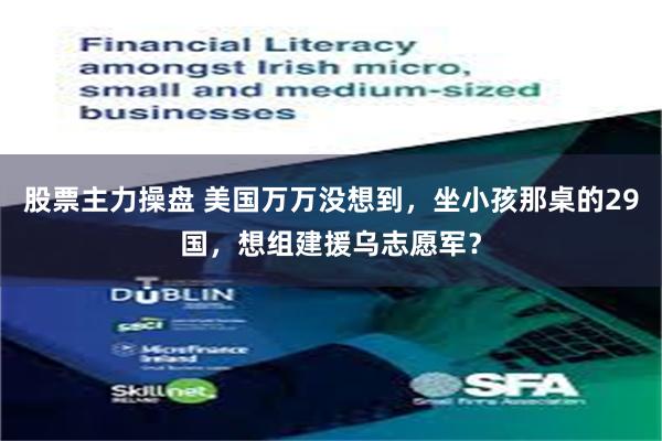 股票主力操盘 美国万万没想到，坐小孩那桌的29国，想组建援乌志愿军？