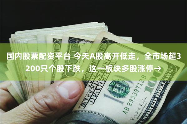 国内股票配资平台 今天A股高开低走，全市场超3200只个股下跌，这一板块多股涨停→