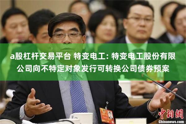 a股杠杆交易平台 特变电工: 特变电工股份有限公司向不特定对象发行可转换公司债券预案