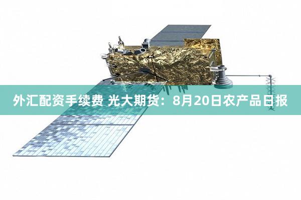 外汇配资手续费 光大期货：8月20日农产品日报