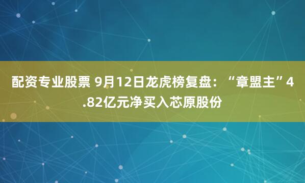 配资专业股票 9月12日龙虎榜复盘：“章盟主”4.82亿元净买入芯原股份