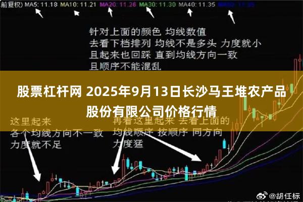 股票杠杆网 2025年9月13日长沙马王堆农产品股份有限公司价格行情