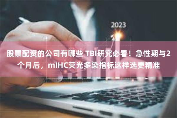 股票配资的公司有哪些 TBI研究必看！急性期与2个月后，mIHC荧光多染指标这样选更精准